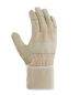 Preview: Art. 1134 Handruecken