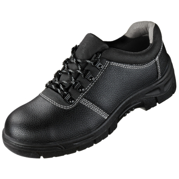Art. 31341 l