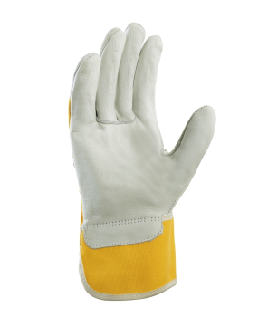 Art. 1108 Innenhand