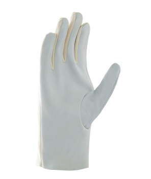 Art. 1250 Innenhand