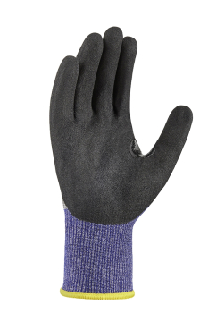 Art. 2610 Innenseite