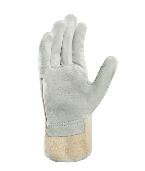Art. 1159 Innenhand