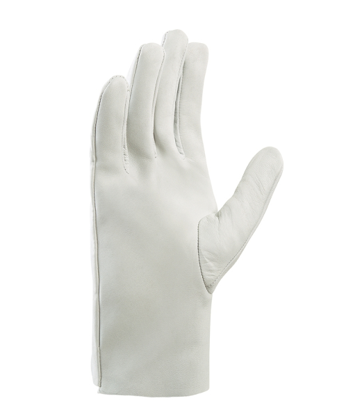 Art. 1260 Innenhand